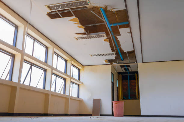 Best Water damage cleanup near me  in Soquel, CA