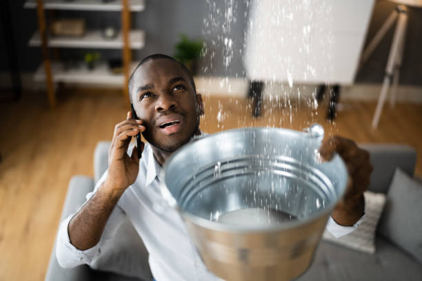 Best Water damage mitigation services  in Soquel, CA