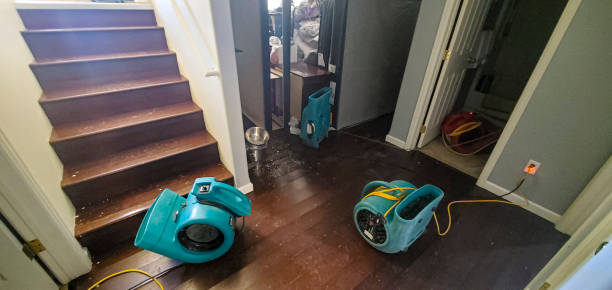 Best Flood restoration services  in Soquel, CA
