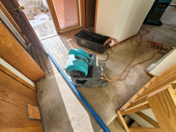 Best 24/7 water damage repair  in Soquel, CA