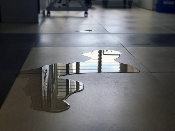 Carpet water damage restoration in Soquel, CA