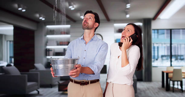Best Water damage mitigation services  in Soquel, CA